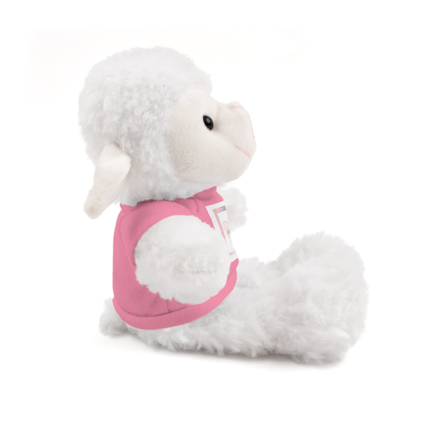 God is Love Stuffed Animals with Tee